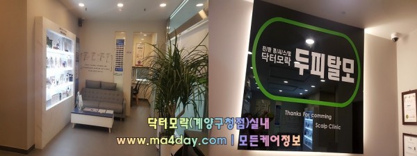 닥터모락(계양구청점)실내